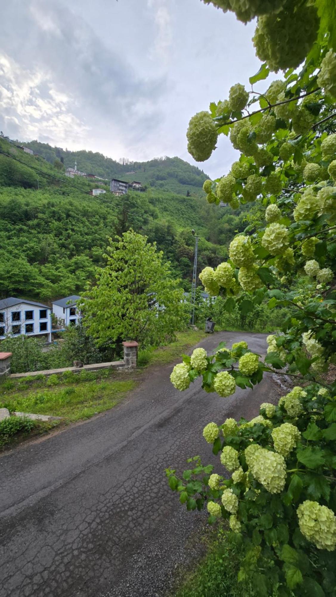 Muradland منتجع الوادي الأخضر Трабзон Екстер'єр фото